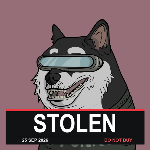 Doge #271, marked stolen